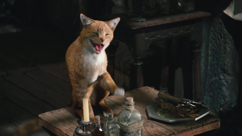 Illustration for article titled The Ultimate Guide to Evil Cats in Science Fiction and Fantasy